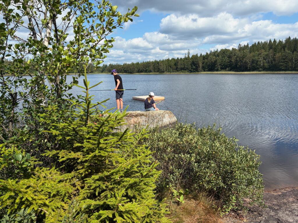 Barn som fiskar vid en sjö
